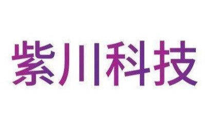 廣州紫川電子科技公司智能檢測儀檢測報告案例